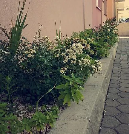 Aura Gnojnice